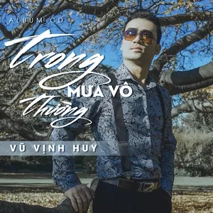 Trong Mưa Vô Thường - Vũ Vịnh Huy