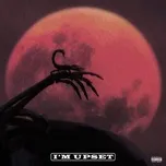Nghe nhạc I'm Upset (Single) - Drake