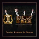 Dos Botellas De Mezcal (Single) - Miguel Y Miguel, Los Tucanes De Tijuana