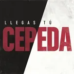 Ca nhạc Llegas Tu (Single) - Cepeda
