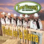 Nghe ca nhạc Fiesta En La Sierra - Los Tucanes De Tijuana