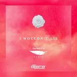 Ca nhạc I Wouldn't Lie (Farfetch'd Remix) (Single) - Steerner
