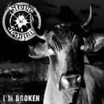 Nghe ca nhạc I'm Broken (Single) - Steve