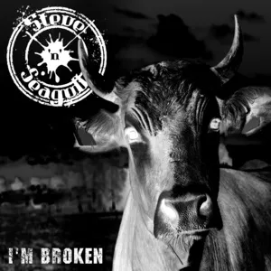 I'm Broken (Single) - Steve
