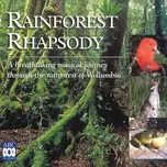 Download nhạc Mp3 Rainforest Rhapsody online miễn phí