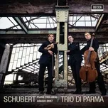 Ca nhạc Schubert: Piano Trio D 898 - Adagio D 897 - Trio di Parma