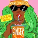 Ginger (Todd Terry Remix) (Single) - Riton, Kah-Lo