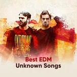 Top EDM Cực Hay Nhưng Ít Người Biết Tên