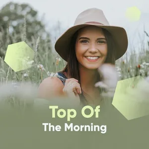 Top Of The Morning - V.A