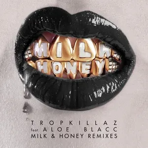 Milk & Honey (Remixes EP) - Tropkillaz