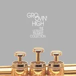 Nghe ca nhạc Groovin' High: The Ultimate Trumpet Collection - V.A