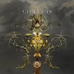 Tải nhạc Conatus - Joep Beving