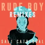 Nghe ca nhạc Rude Boy (Remixes) (Single) - Salt Cathedral