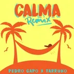 Tải nhạc Calma Remix (Single) chất lượng cao