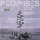 Nghe nhạc Promises (David Guetta Remix) (Single) trực tuyến