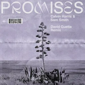 Promises (David Guetta Remix) (Single) - Calvin Harris, Sam Smith