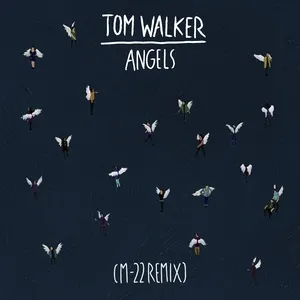 Angels (M-22 Remix) (Single) - Tom Walker, M-22