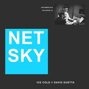 Ice Cold (Single) - Netsky, David Guetta