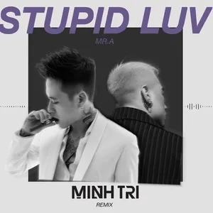 Stupid Luv (DJ Minh Trí Remix) (Single) - MR.A, DJ Minh Trí