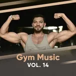 Gym Music (Vol.14)