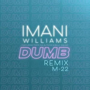 Dumb (M-22 Remix) (Single) - Imani Williams, Tiggs Da Author, Belly Squad, V.A