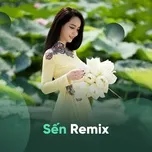 Nghe nhạc Sến Remix - V.A