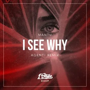 I See Why (Agent! Remix) (Single) - MANTU