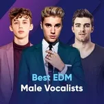 Top EDM Giọng Nam Hay Nhất