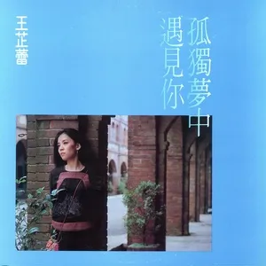 Gu Du Meng Zhong - Wang Chih Lei