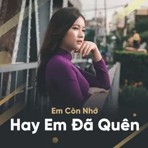 Em Còn Nhớ Hay Em Đã Quên - V.A