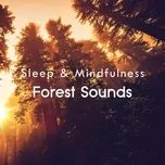 Forest Sounds (Sleep & Mindfulness) - Sleepy Times