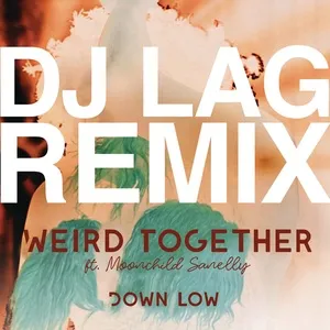 Down Low (Dj Lag Remix Extended) (Single) - Weird Together, Moonchild Sanelly