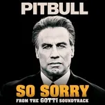 Nghe ca nhạc So Sorry (Single) - Pitbull