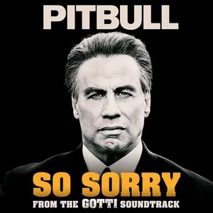 So Sorry (Single) - Pitbull