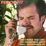 Nghe nhạc Did I Make You Cry On Christmas Day? (Well, You Deserved It!) (Single) - Peach Pit