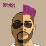 Nghe nhạc Too Much (Single) - Zayn, Timbaland