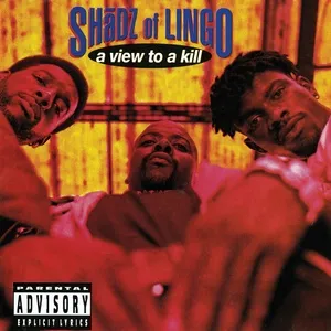 A View To A Kill - Shadz Of Lingo