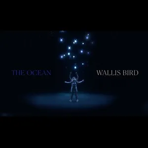 The Ocean (Single) - Wallis Bird