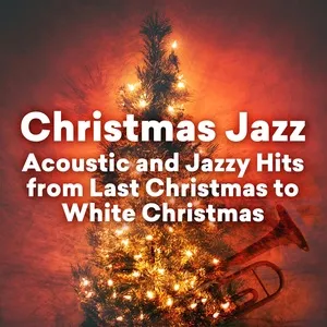 Christmas Jazz - Acoustic And Jazzy Hits From Last Christmas To White Christmas - V.A