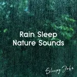 Rain Sleep & Nature Sounds - Sleepy John