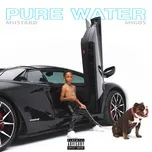 Nghe nhạc Pure Water (Single) - DJ Mustard, Migos