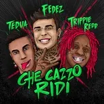 Nghe nhạc Che Cazzo Ridi (Single) hot nhất