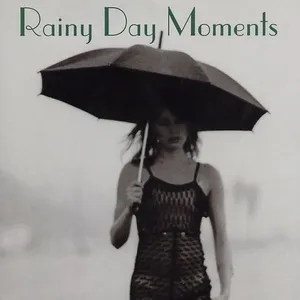 Rainy Day Moments - V.A