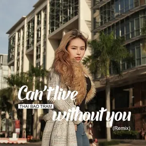 Can't Live Without You Remix (Single) - Thái Bảo Trâm