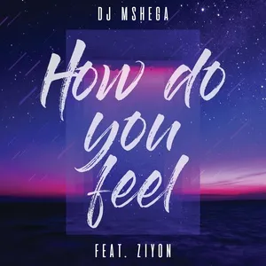 How Do You Feel (Single) - DJ Mshega, Ziyon