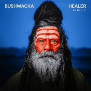 Healer (Remixes) (EP) - Bushwacka