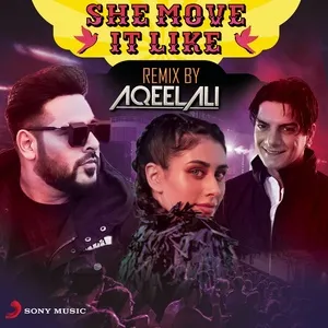 She Move It Like (Remix By Aqeel Ali) (Single) - Badshah, DJ Aqeel