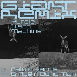 Giant (Purple Disco Machine Remix) (Single) - Calvin Harris, Rag N Bone Man