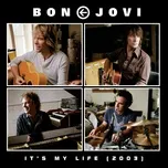 Nghe nhạc It's My Life (2003) (Single) miễn phí