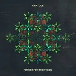Nghe ca nhạc Forest For The Trees (Single) - Anatole